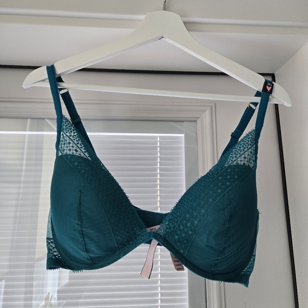 Teal Lace Women's Plunge Bra